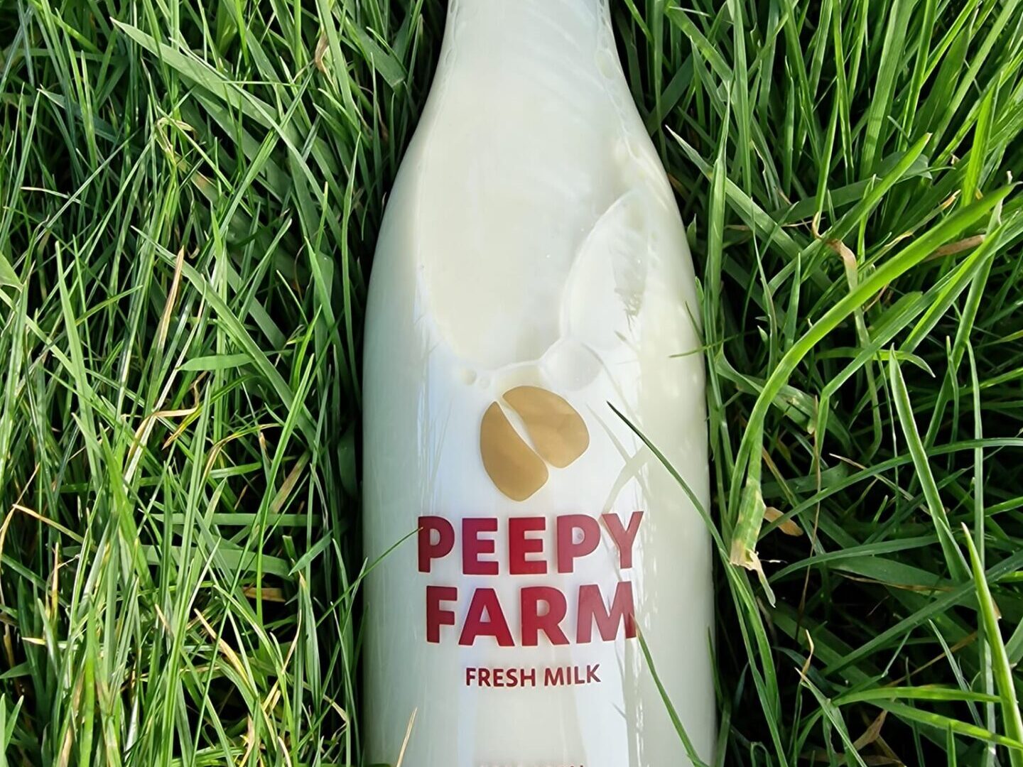 Fresh milk bottle